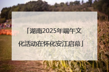 湖南2025年端午文化活动在怀化安江启幕