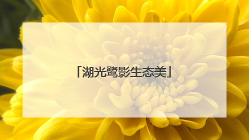 湖光鹭影生态美
