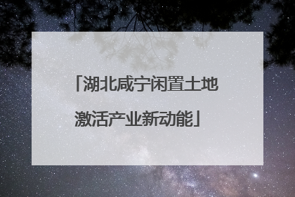 湖北咸宁闲置土地激活产业新动能