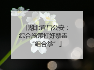 湖北宜昌公安：综合施策打好禁毒“组合拳”