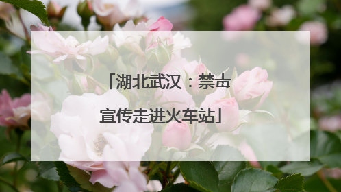 湖北武汉：禁毒宣传走进火车站