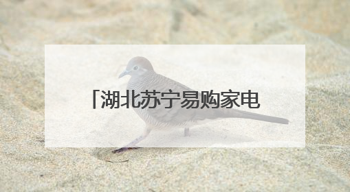 湖北苏宁易购家电惠民季正式启动