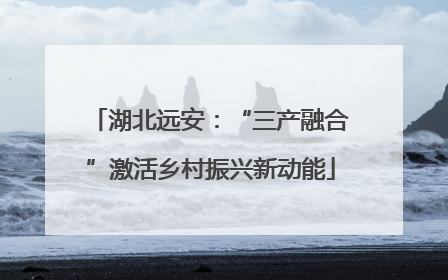 湖北远安：“三产融合”激活乡村振兴新动能