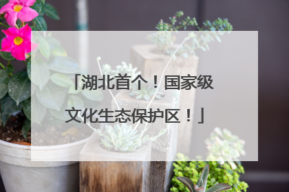 湖北首个！国家级文化生态保护区！