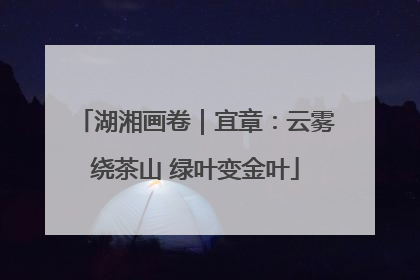 湖湘画卷｜宜章：云雾绕茶山 绿叶变金叶