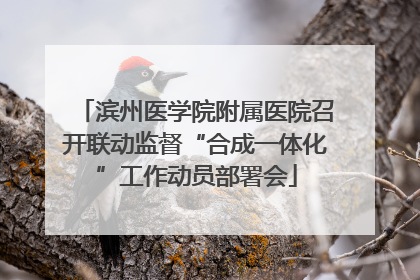 滨州医学院附属医院召开联动监督“合成一体化”工作动员部署会