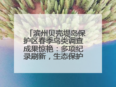 滨州贝壳堤岛保护区春季鸟类调查成果惊艳：多项纪录刷新，生态保护成效显著