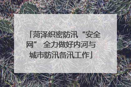 菏泽织密防汛“安全网” 全力做好内河与城市防汛备汛工作
