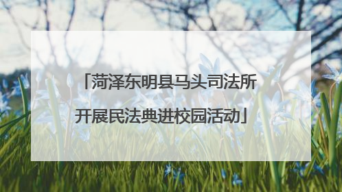 菏泽东明县马头司法所开展民法典进校园活动
