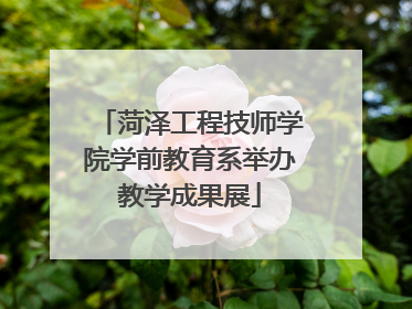 菏泽工程技师学院学前教育系举办教学成果展