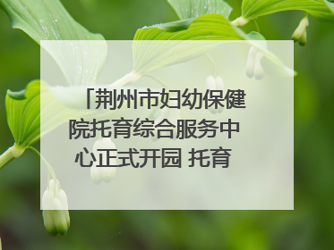 荆州市妇幼保健院托育综合服务中心正式开园 托育宣传月同步启动