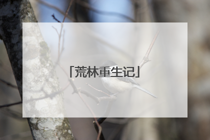 荒林重生记