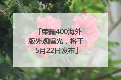 荣耀400海外版外观曝光，将于5月22日发布