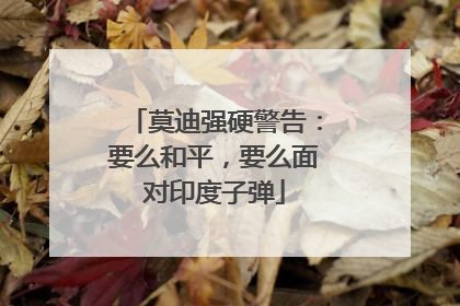 莫迪强硬警告：要么和平，要么面对印度子弹