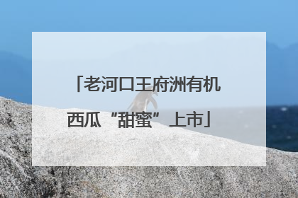 老河口王府洲有机西瓜“甜蜜”上市