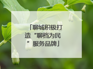 聊城积极打造“聊档为民”服务品牌