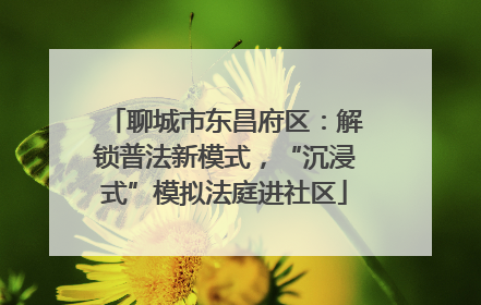 聊城市东昌府区：解锁普法新模式，“沉浸式”模拟法庭进社区