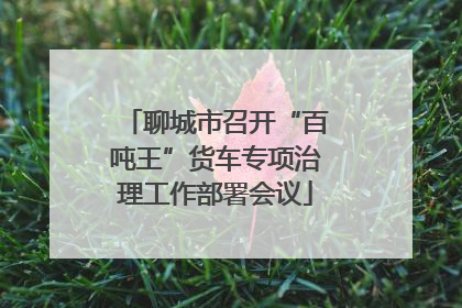 聊城市召开“百吨王”货车专项治理工作部署会议