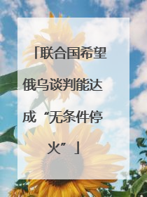 联合国希望俄乌谈判能达成“无条件停火”