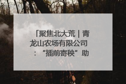聚焦北大荒｜青龙山农场有限公司：“插前寄秧”助力农业节本增效