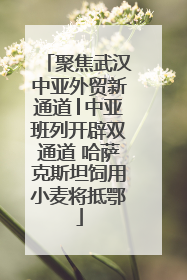 聚焦武汉中亚外贸新通道│中亚班列开辟双通道 哈萨克斯坦饲用小麦将抵鄂