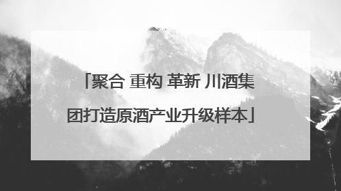 聚合 重构 革新 川酒集团打造原酒产业升级样本