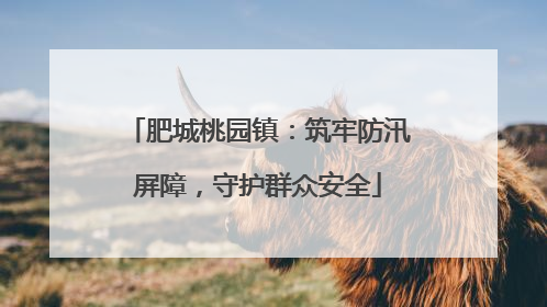 肥城桃园镇：筑牢防汛屏障，守护群众安全