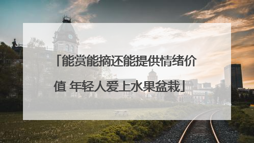 能赏能摘还能提供情绪价值 年轻人爱上水果盆栽