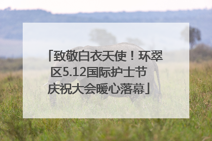 致敬白衣天使！环翠区5.12国际护士节庆祝大会暖心落幕