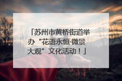 苏州市黄桥街道举办“花语永恒·微景大观”文化活动！