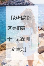 苏州高新区亮相第二十一届深圳文博会