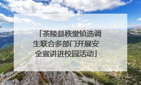 茶陵县秩堂镇选调生联合多部门开展安全宣讲进校园活动