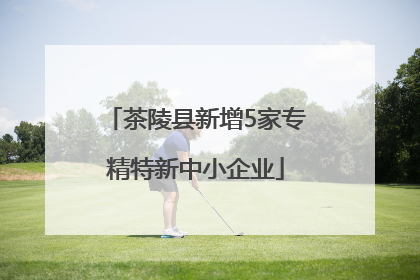 茶陵县新增5家专精特新中小企业