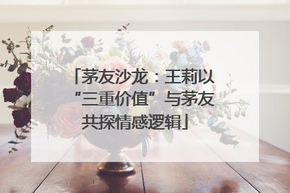 茅友沙龙：王莉以“三重价值”与茅友共探情感逻辑