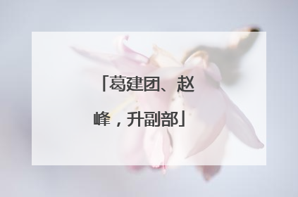 葛建团、赵峰，升副部