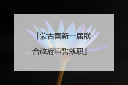 蒙古国新一届联合政府宣誓就职