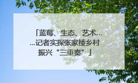 蓝莓、生态、艺术……记者实探张家楼乡村振兴“三重奏”