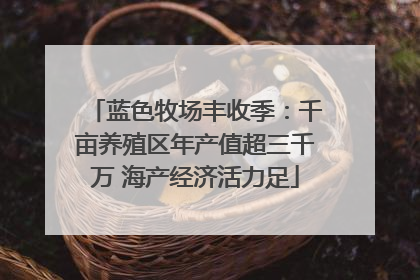 蓝色牧场丰收季：千亩养殖区年产值超三千万 海产经济活力足