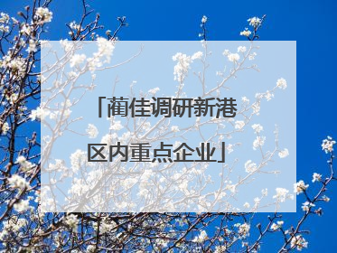 蔺佳调研新港区内重点企业