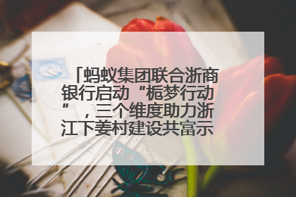 蚂蚁集团联合浙商银行启动“栀梦行动”，三个维度助力浙江下姜村建设共富示范区示范点
