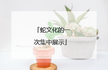 蛇文化的一次集中展示