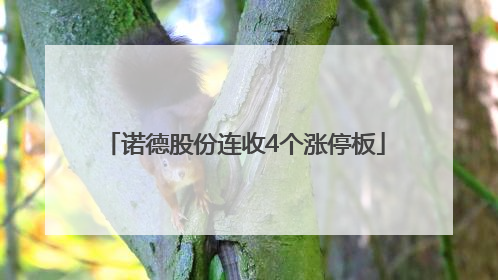 诺德股份连收4个涨停板