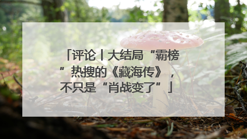 评论丨大结局“霸榜”热搜的《藏海传》，不只是“肖战变了”