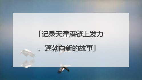记录天津港链上发力、蓬勃向新的故事