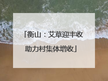 衡山：艾草迎丰收 助力村集体增收