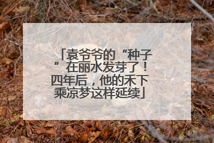 袁爷爷的“种子”在丽水发芽了！四年后，他的禾下乘凉梦这样延续