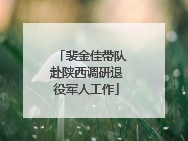 裴金佳带队赴陕西调研退役军人工作