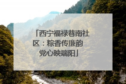 西宁福禄巷南社区：粽香传廉韵 党心映端阳