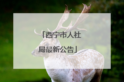 西宁市人社局最新公告