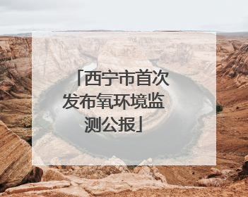 西宁市首次发布氧环境监测公报